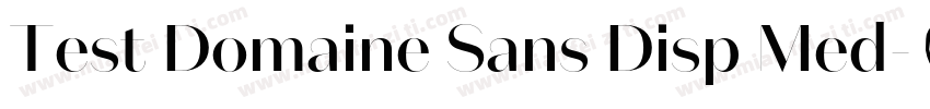Test Domaine Sans Disp Med字体转换
